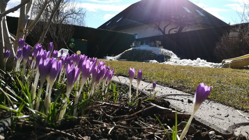 Letzter Saisontag 2.jpg