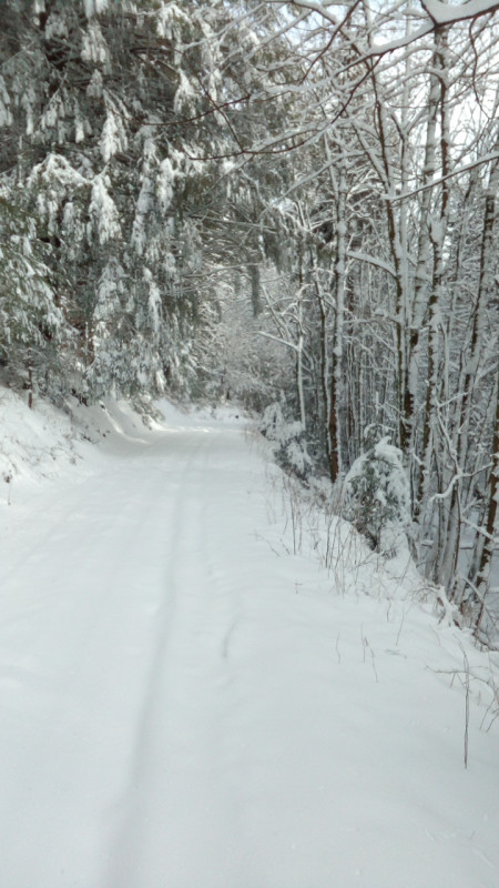 Rothaarsteig-Skiroute