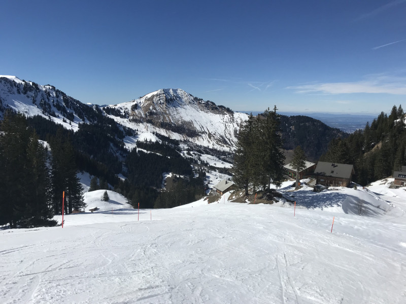 Dank der späten Beschneiung Ende Januar ist selbst das sonnenexponierte Stück noch tadellos!