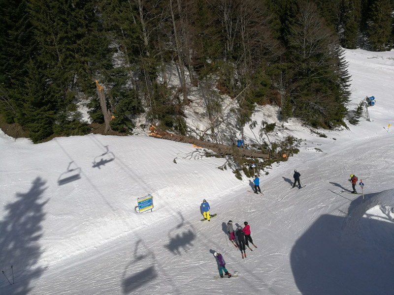 Überall sind Schäden durch Schneebruch und Wind zu sehen
