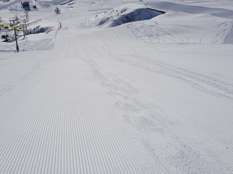 Nochmals Salastrains