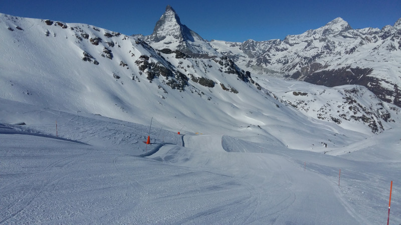 White Hare war am besten heute