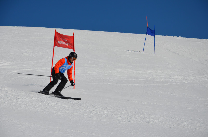 DSC_0240 - Kopie.JPG