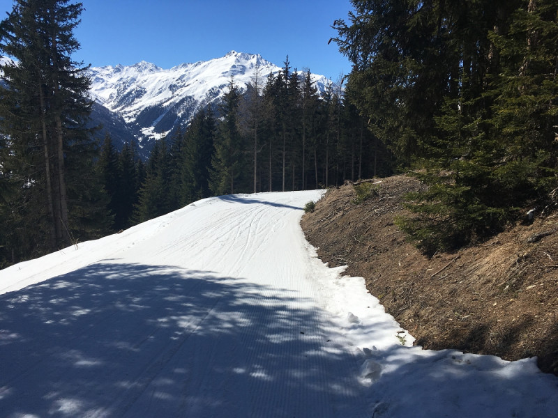 7- Gleitweg unten im Wald
