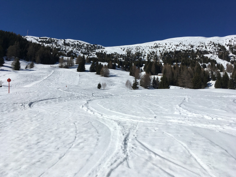 9- Toller Firn auf und neben der nicht mehr präparierten unteren roten DSB-Abfahrt