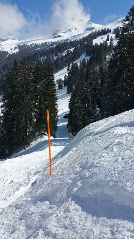 Action Weglosen  26032019.jpg