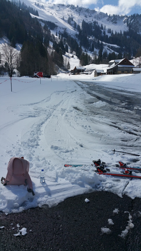 Rosaroter Panter 26032019.jpg