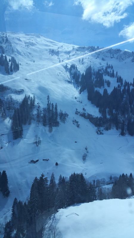 no comment 26032019.jpg