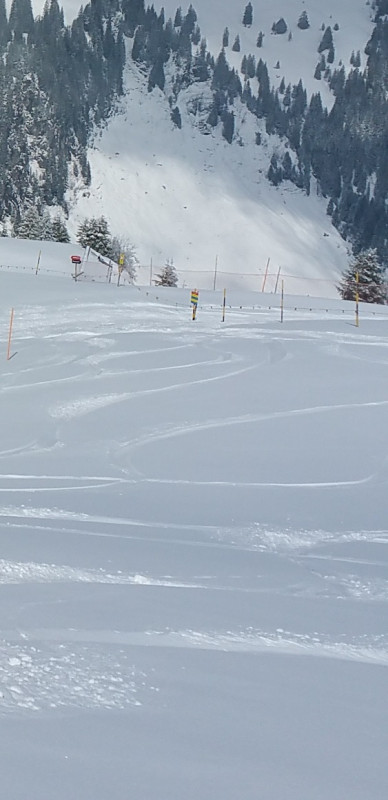 Weglosen eigentlich zu 26032019.jpg