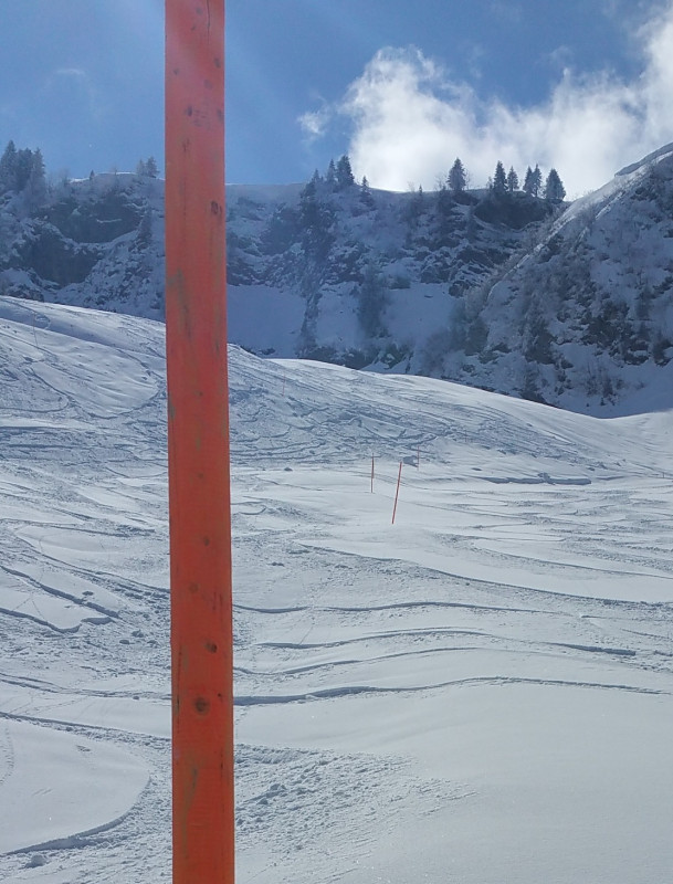 in der Weglosen 26032019.jpg