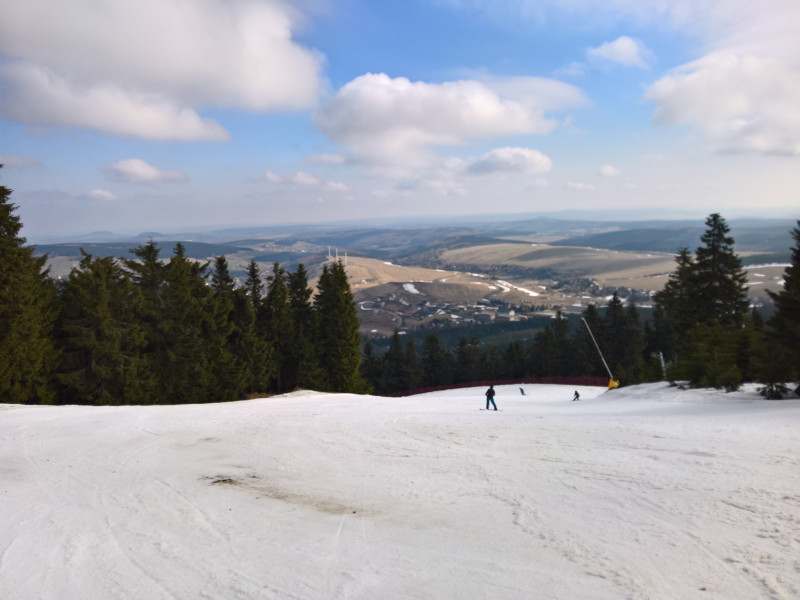 Premostena (8) hat oben eine dünne Stelle, sonst tadellos