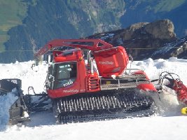 PB Polar bei der einfahrt richtung garage