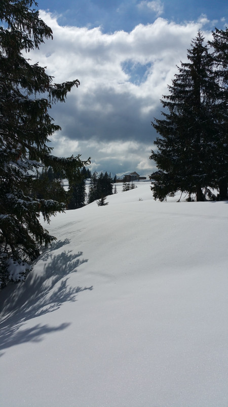 Ibergegg gechillt.jpg