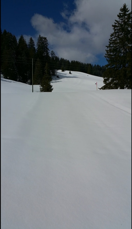 der Aufstieg 26032019 waren vielleicht 100 Höhenmeter wenn überhaupt.jpg
