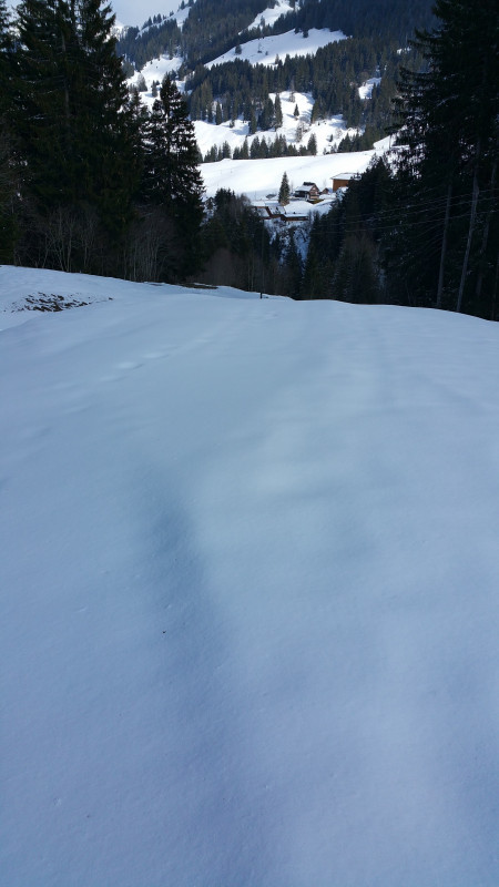 Talabfahrt 26032019 Oberiberg Skiroute gut fahrbar.jpg