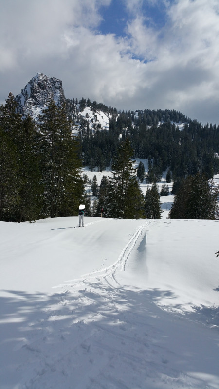 26032019 Wanderweg Richtung Brünnelistock 1598ü. M..jpg