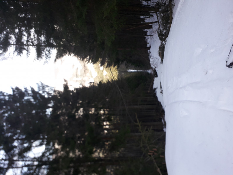 Trasse vom Ausstieg aus gesehen