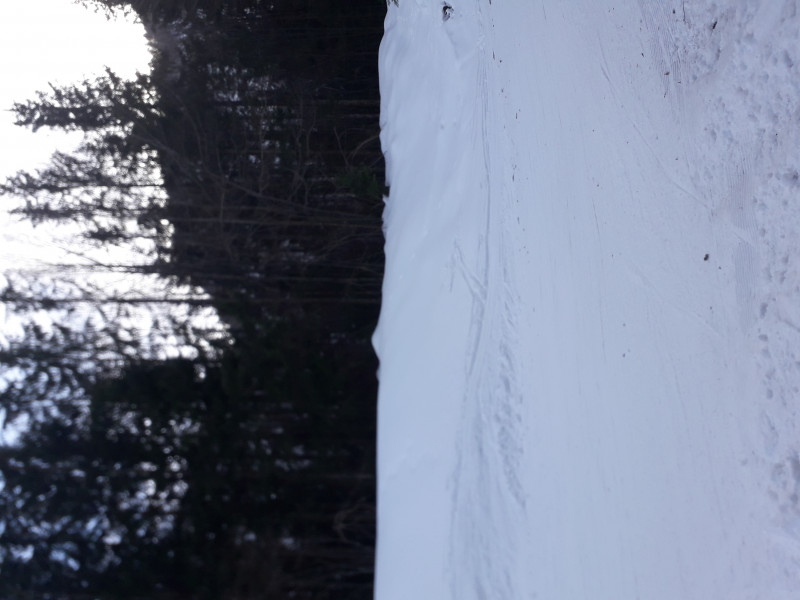 Blick in die andere Richtung vom gleichen Standpkt. aus; hier stand die Umlenkung, davor eine Abwurfbrücke, die über die Talabfahrt führte;