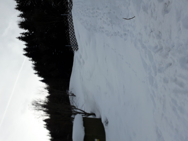 Ehem. Ausstiegsbereich direkt neben der Ebenbergalm