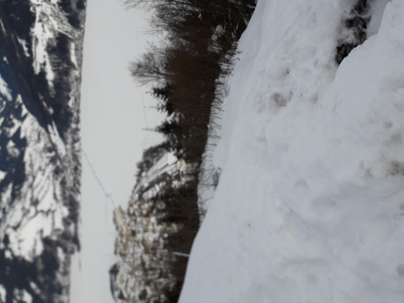 Blick auf die ehem. Trasse vom Ausstiegsbereich