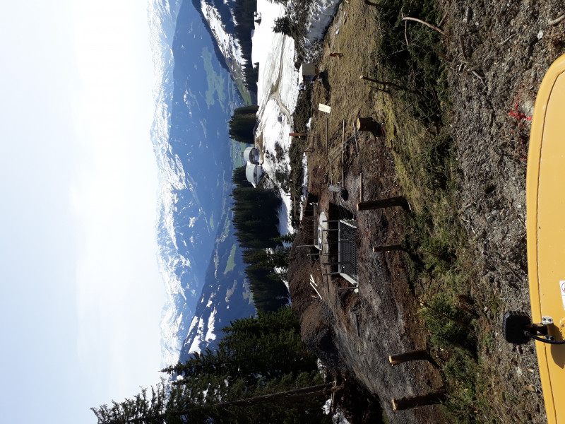 ^^Erste Fundamente (wahrscheinlich vom Einfahrtssteher). Man kann gut erkennen, dass alles ziemlich in Flucht mit der alten Trasse liegt