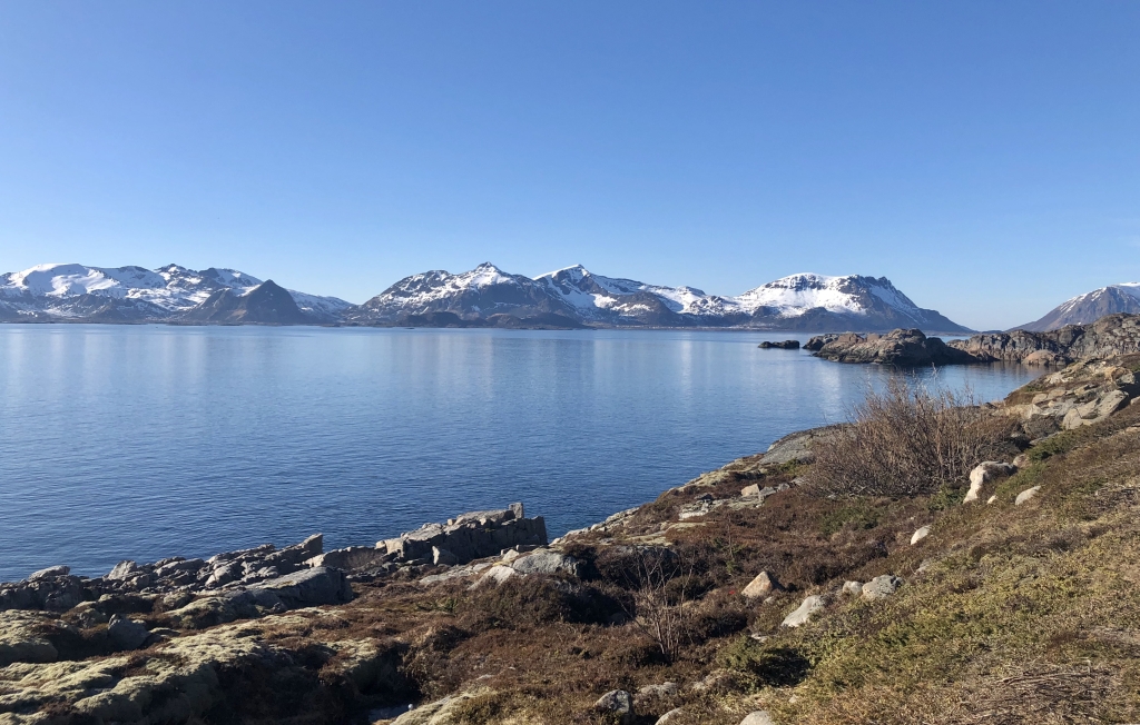 131 Henningsvaer.jpg