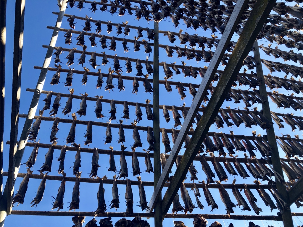 133 Henningsvaer.jpg