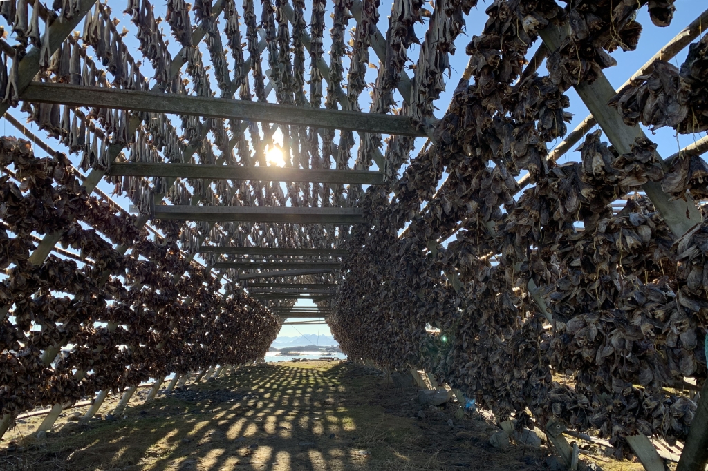 136 Henningsvaer.jpg