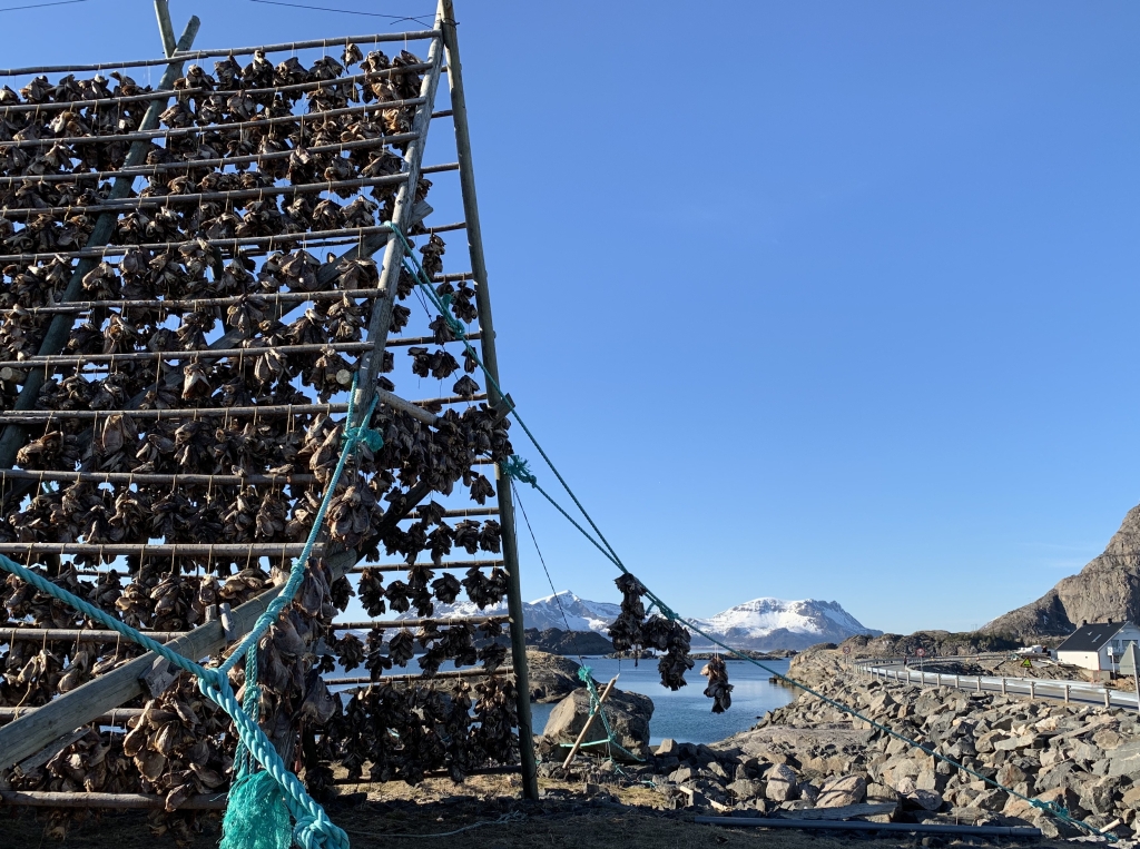 139 Henningsvaer.jpg