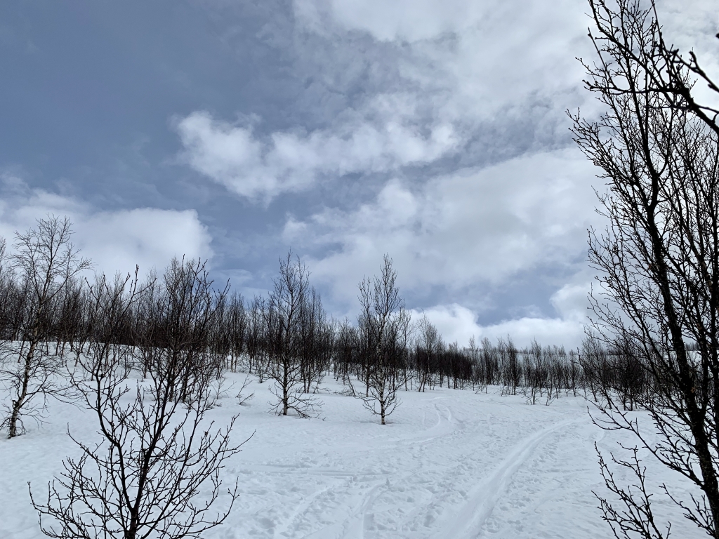 234 Fagerfjellet.jpg