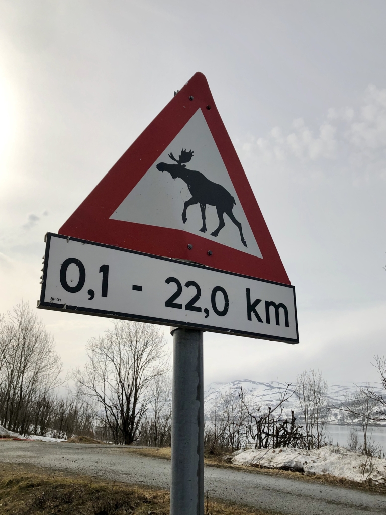 253 Ringvassøya.jpg