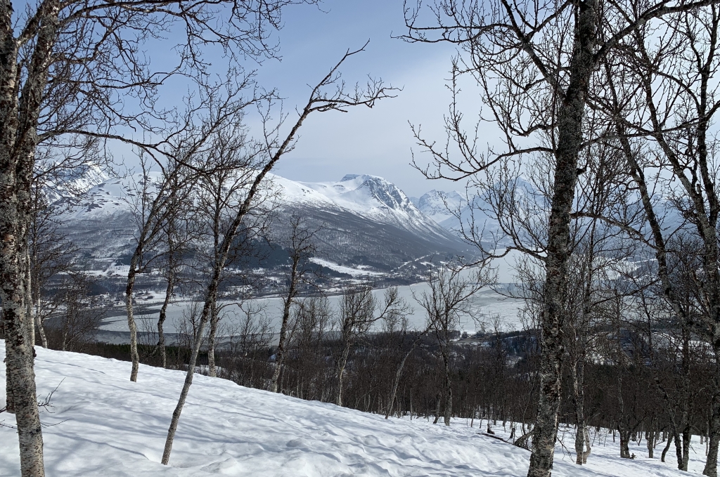 256 Skitour Tromsdalstinden_von_Süd.jpg