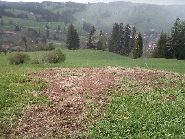 Fundament eingeebnet ehemals Stütze 7