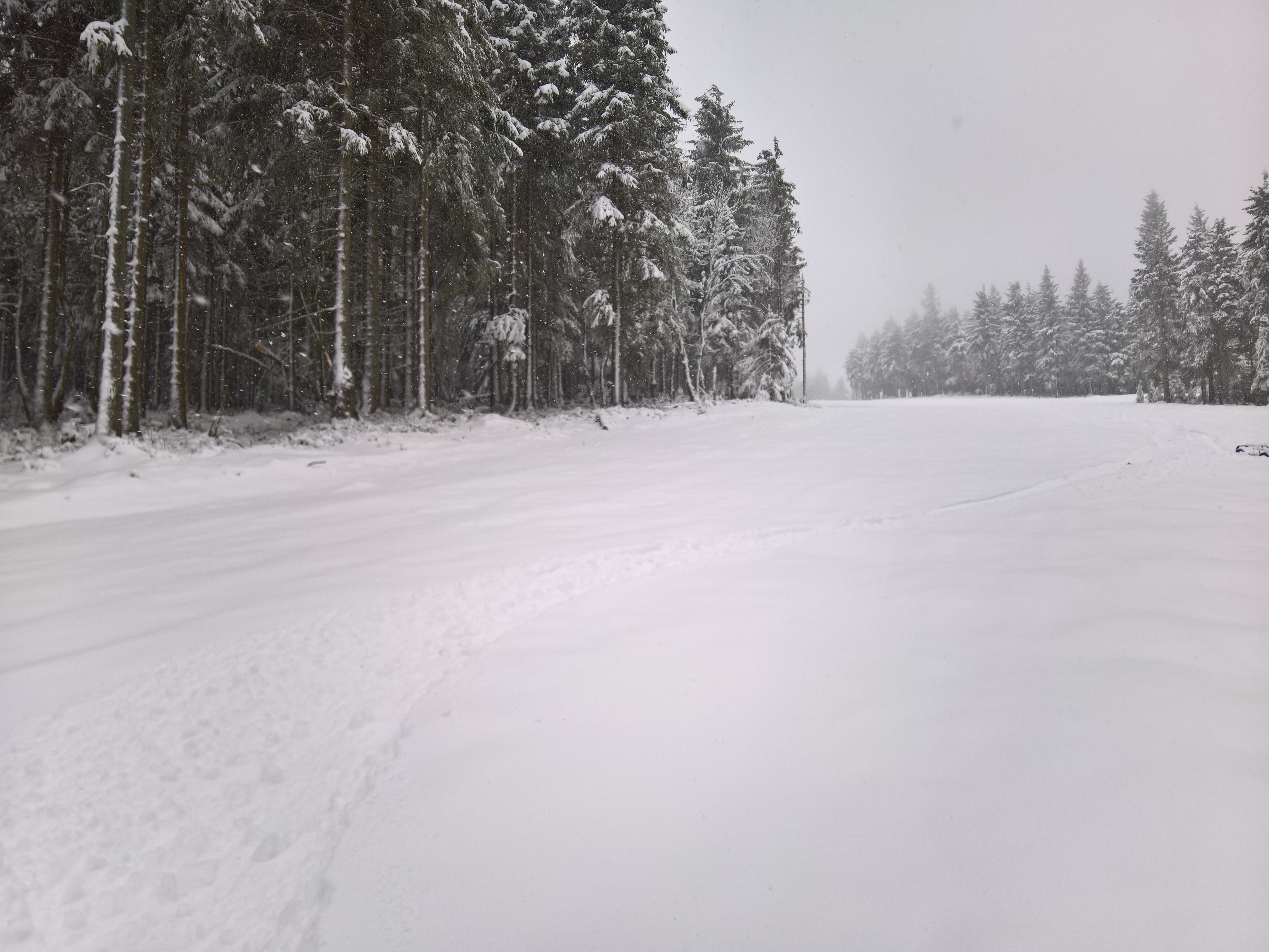 Lässt man es laufen dann ist's OK, bei tiefen Schwüngen kommt man auf die Wiese durch