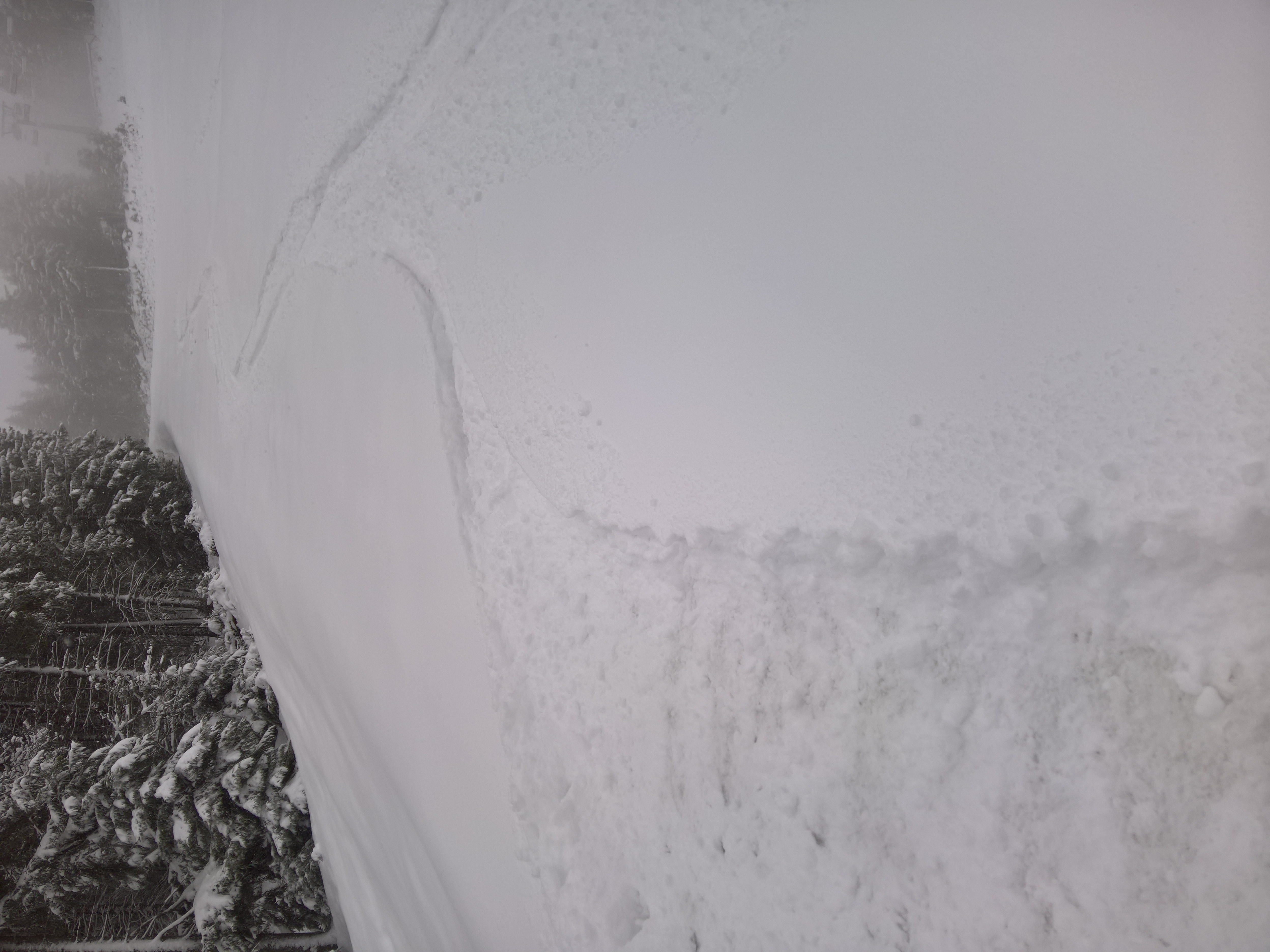 Dank Altschnee sind Turns hier besser möglich