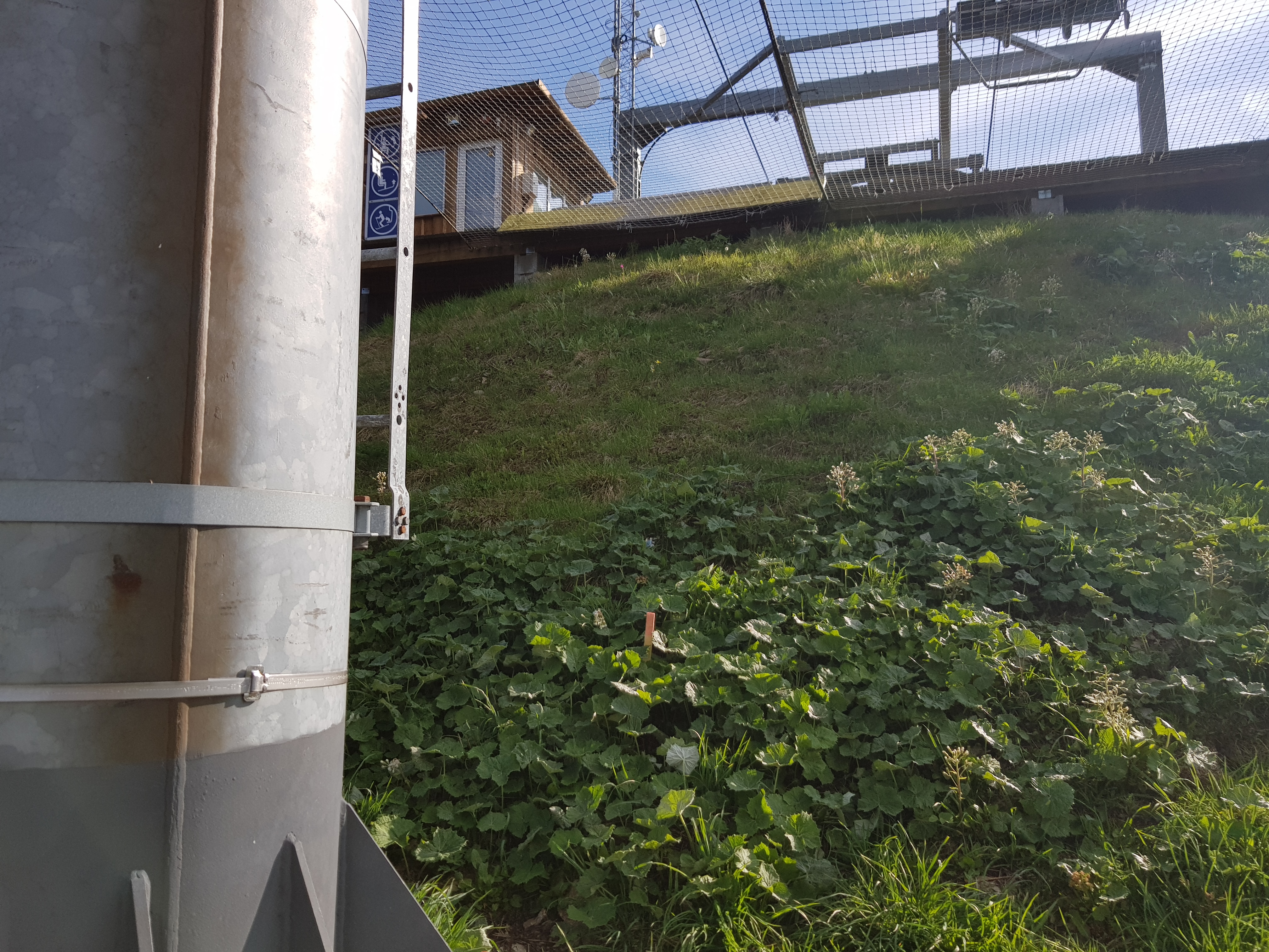 Markierung Einfahrtsbauwerk KSB Damska ( nicht Stütze 12; siehe oben Info von V4Show)