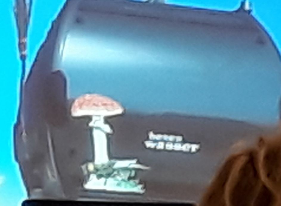 leider nur schlechte Qualität weil aus einer Präsentation ...