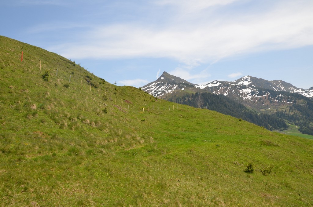 Mittelteil des Hangs; Blick zum Brechhorn