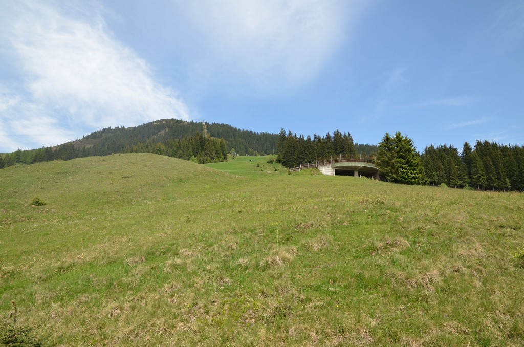 Blick bergwaerts zur alten Station