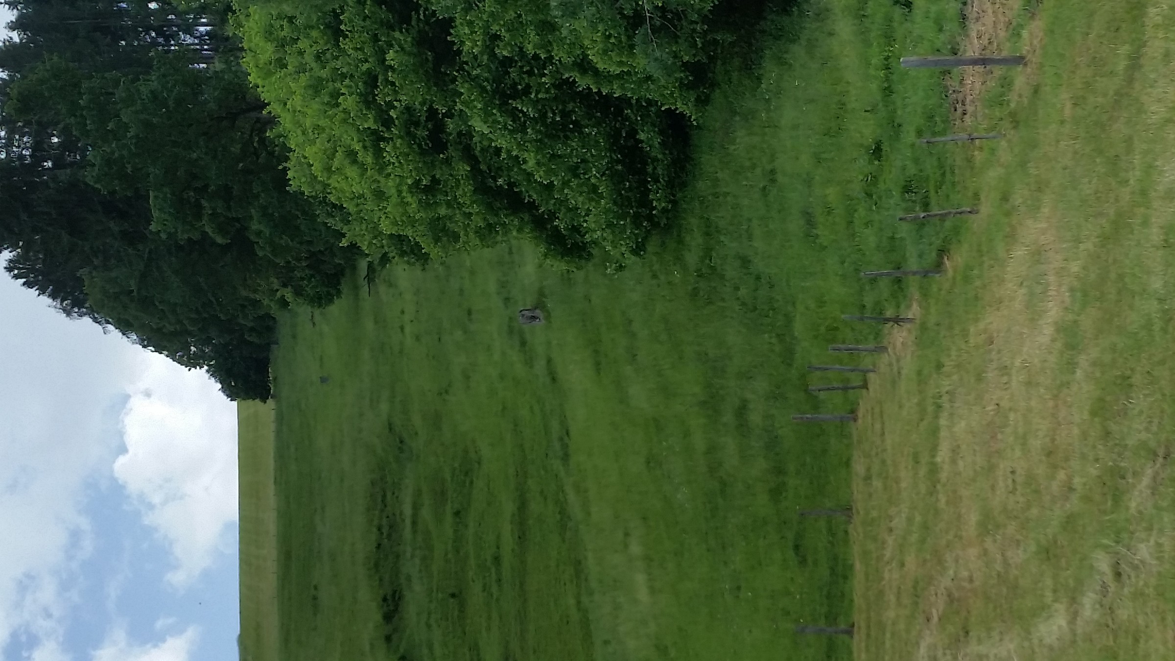 Blick auf die Strecke