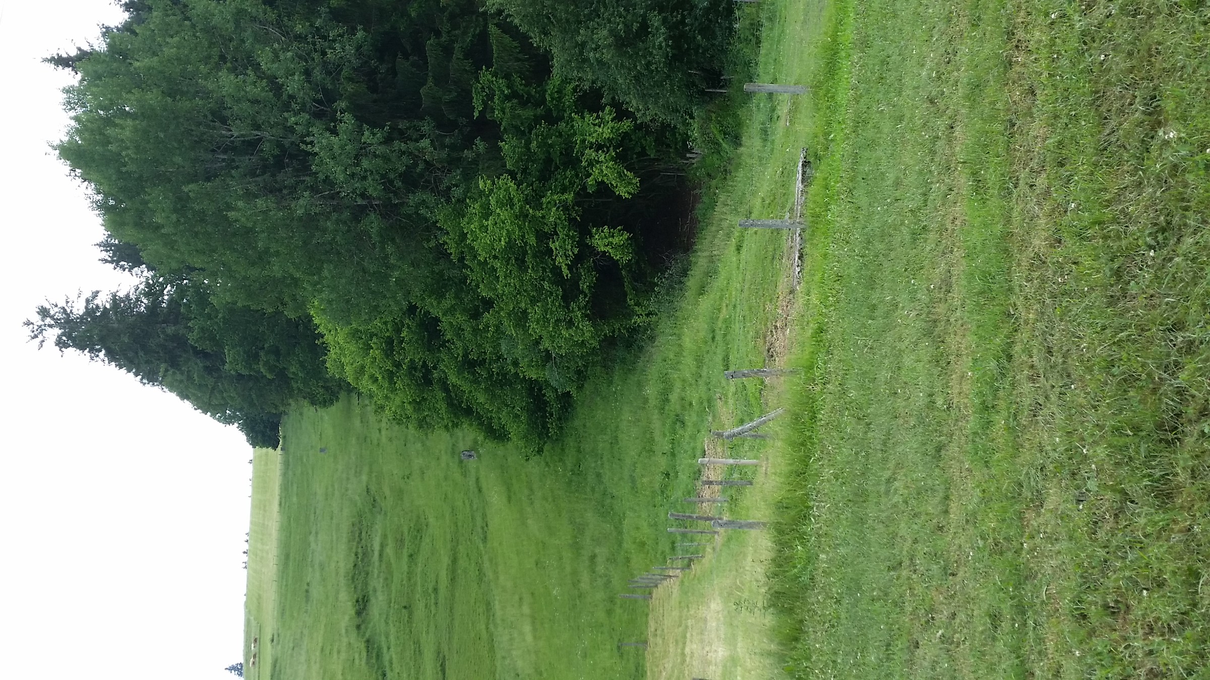 Nochmals Strecke, leider Handy mit Gegenlicht