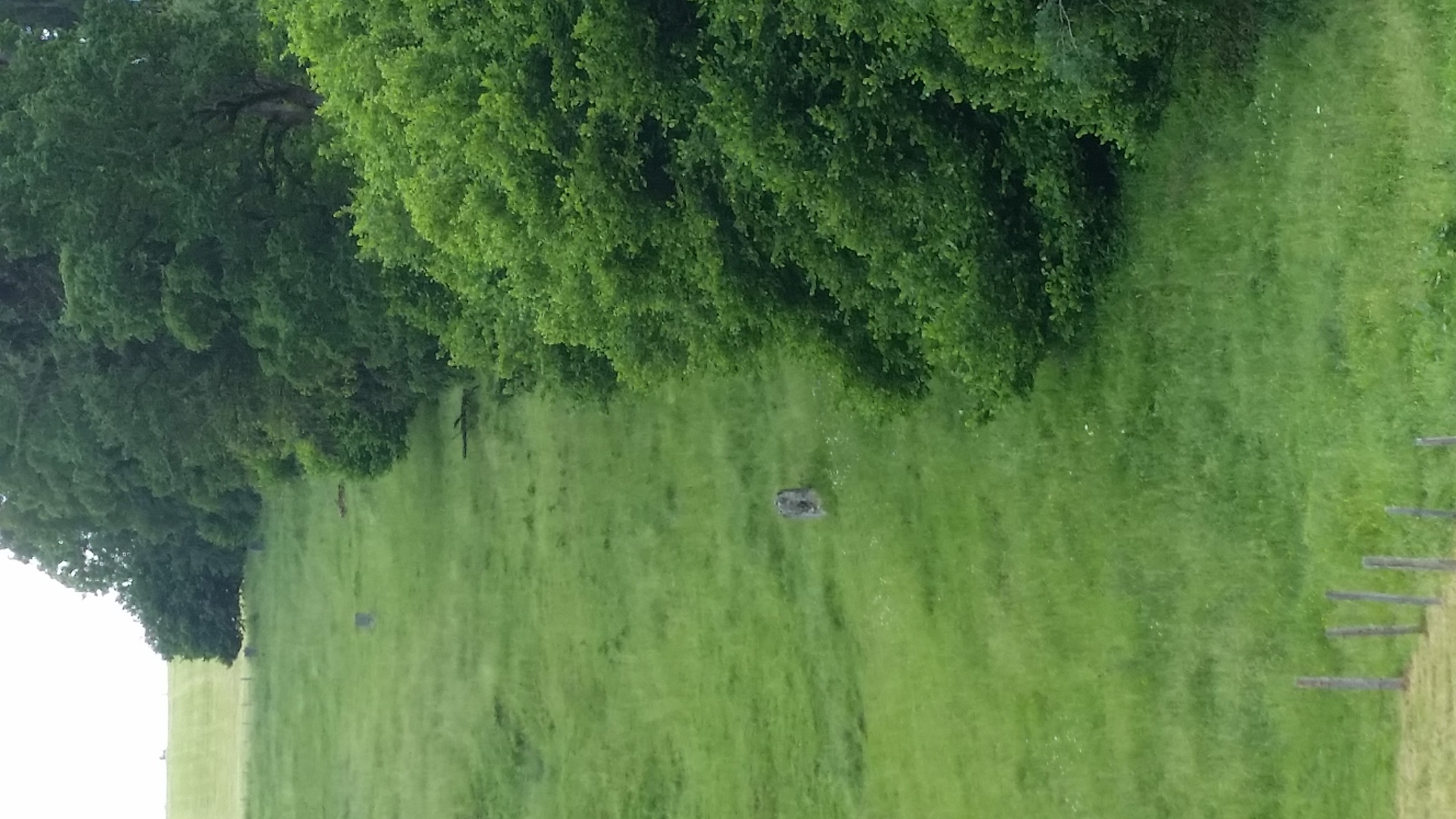 Zoom zu den Fundamenten