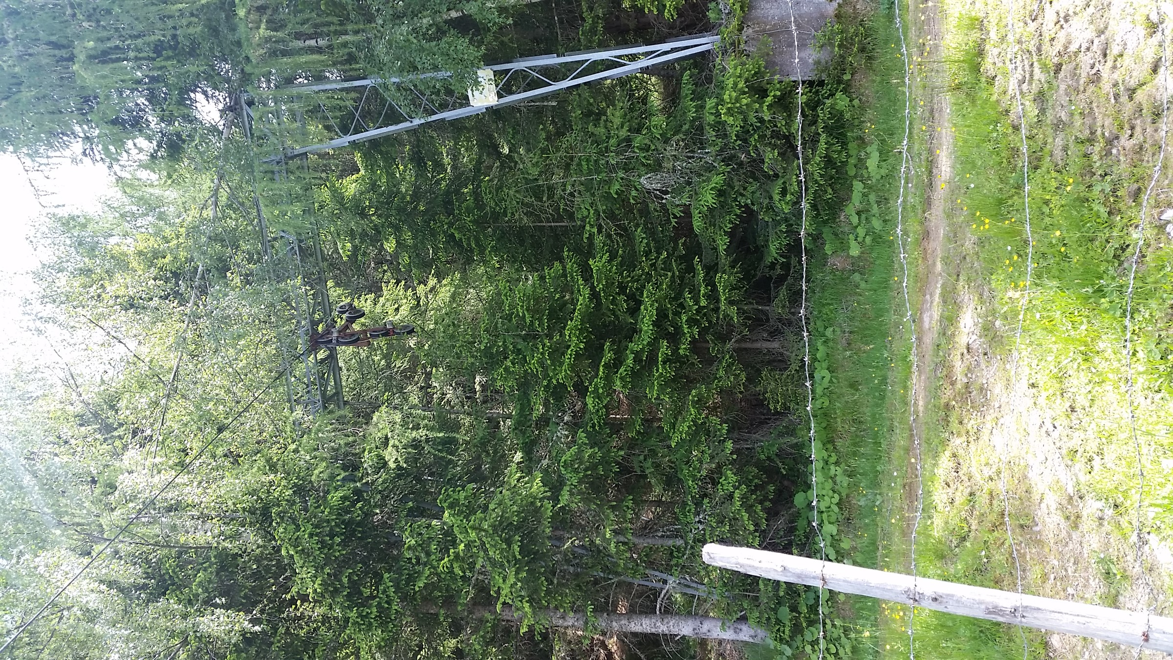 Nächste Entgleisung.. Stütze 4 hat nur einseitige RoBa