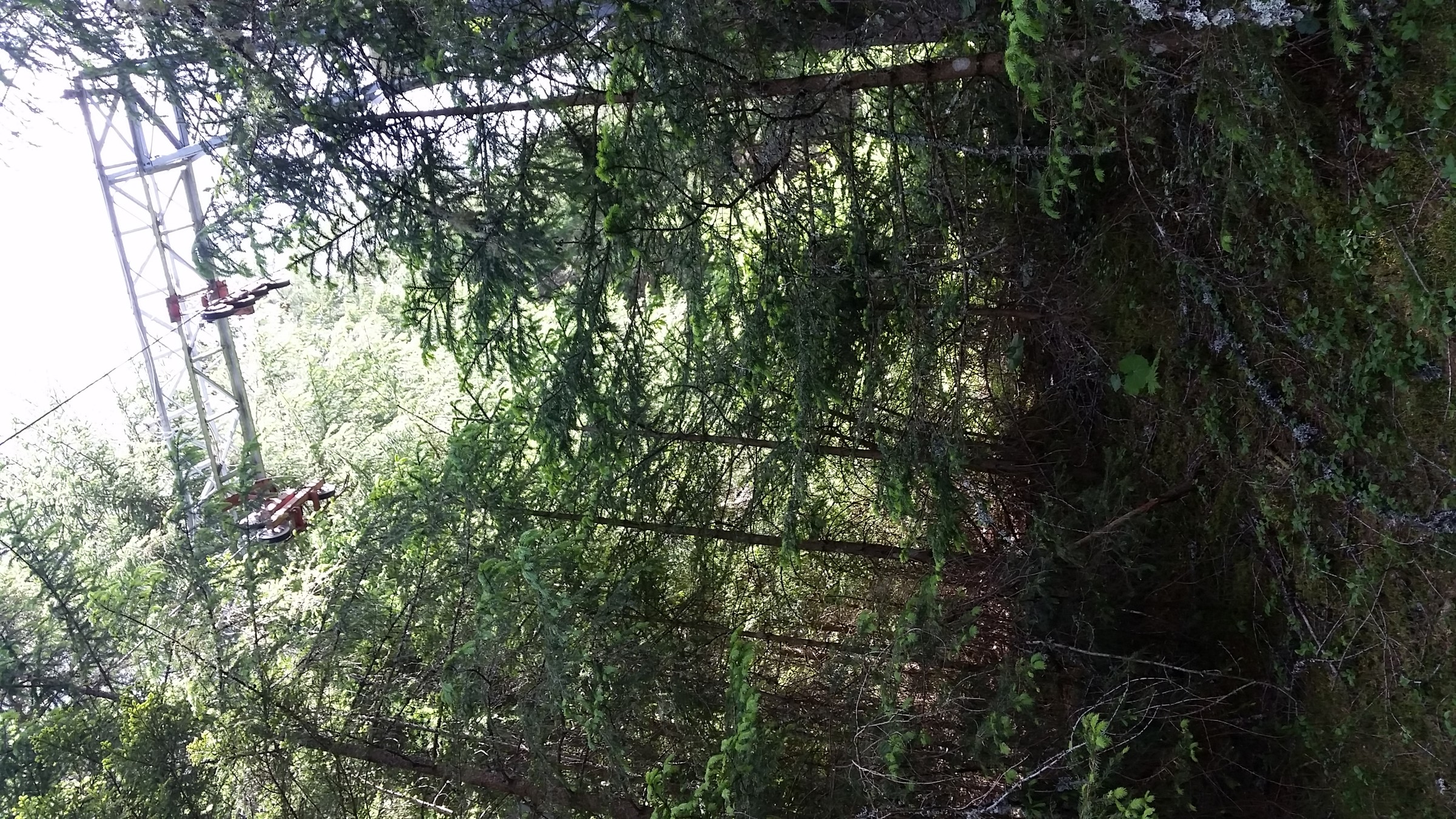durch Dickicht dem Förderseil folgend, taucht Stütze 5 auf, welche auch den Ausstieg bedeutete