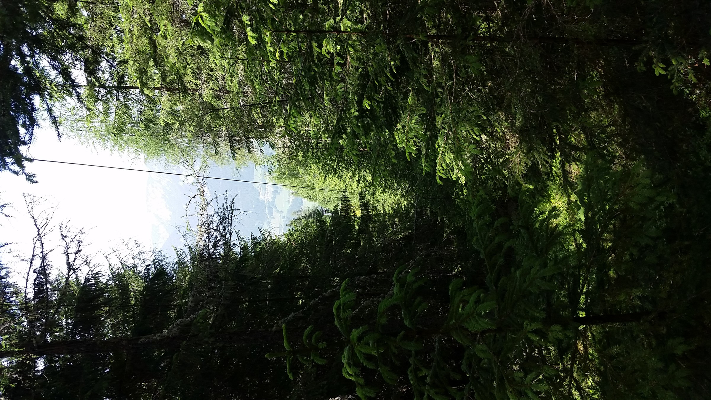 Rückblick auf Trasse