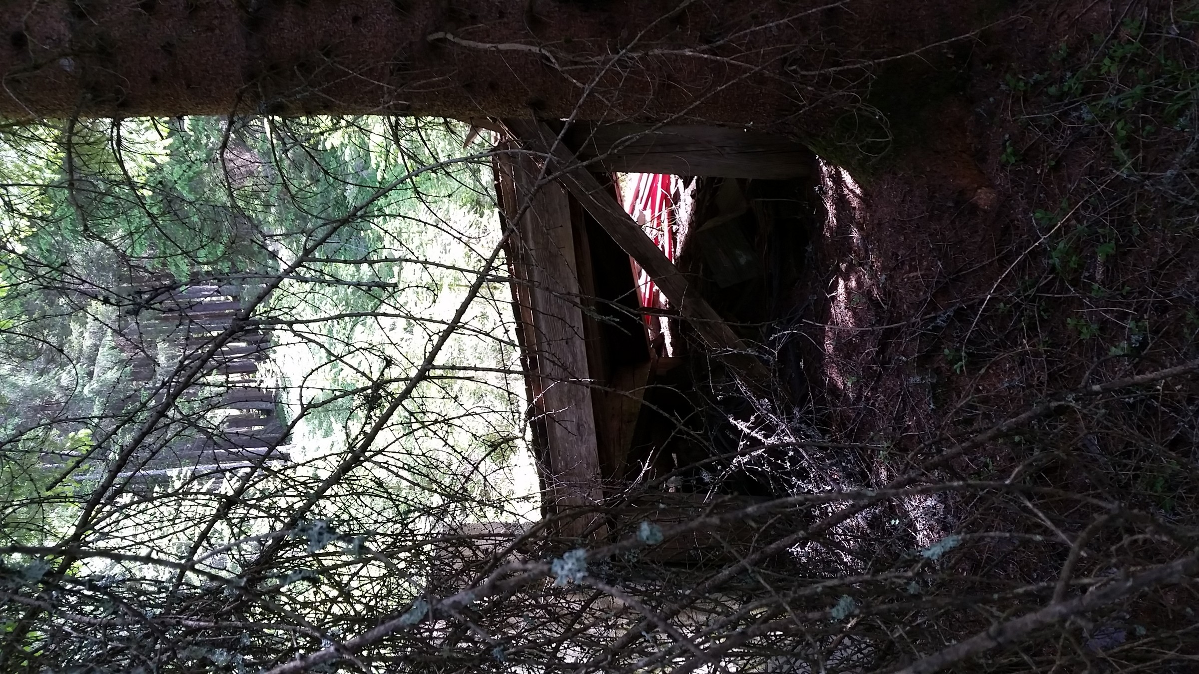 Überrest Bergstationshäuserl