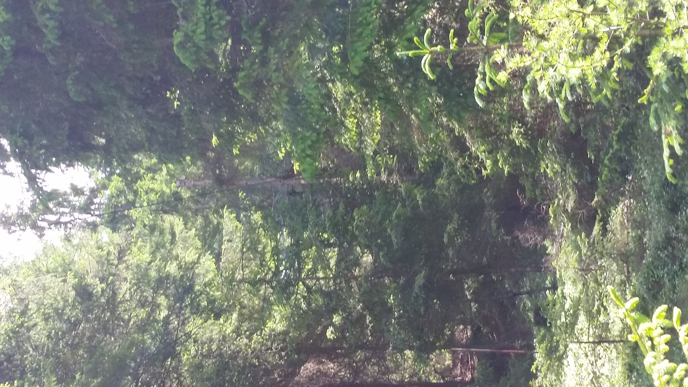 Wer findet die Umlenkung?