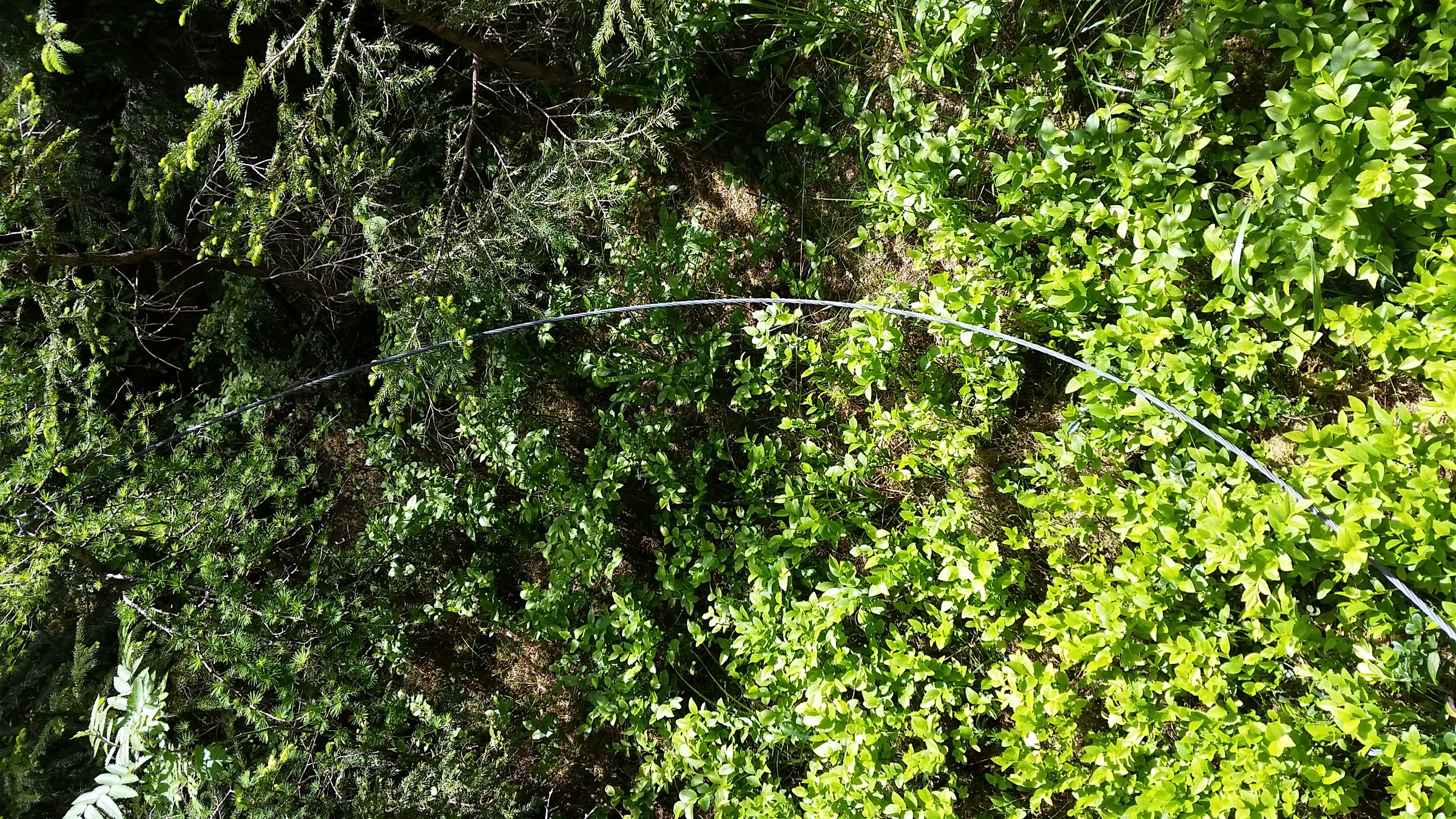 Streckenkabel am Boden