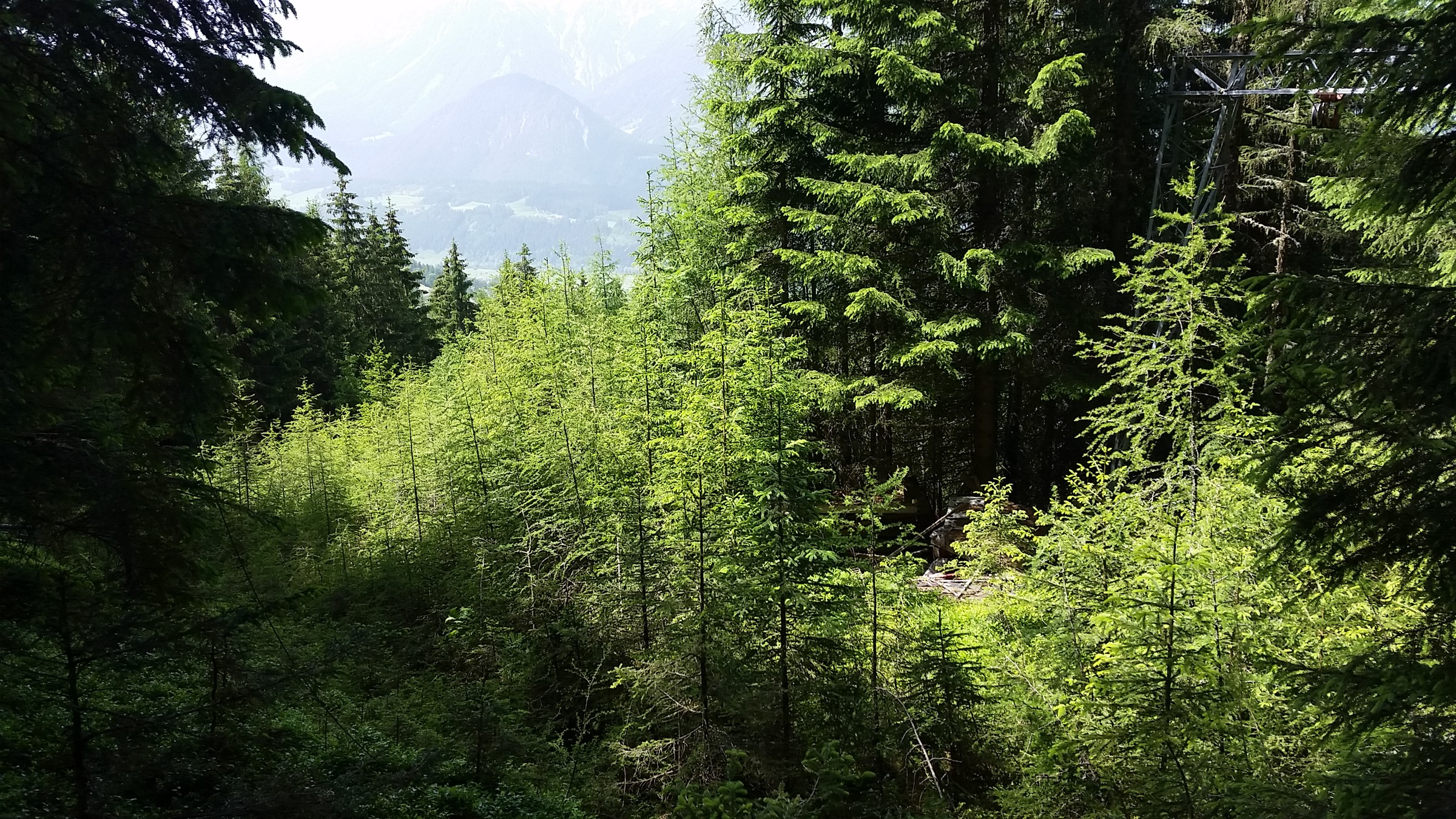 Verwachsene Bergstation mit Ausstieg und Pisten-Beginn