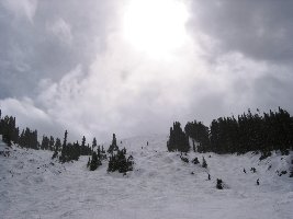 187-Steil, steiler, Pallavicini.jpg